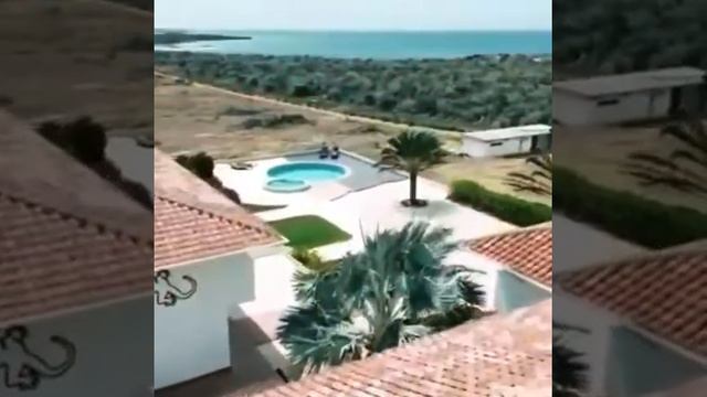 La Salamandra смотреть онлайн