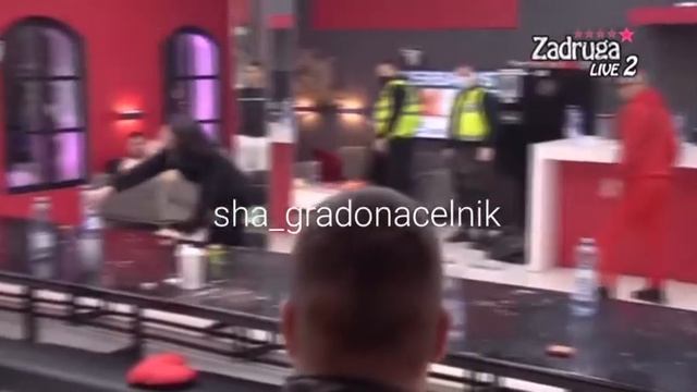 Tara i Sha tuca смотреть онлайн