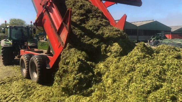 Ensilage d’herbe | Claas Jaguar 860