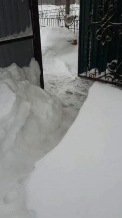 позвоните сами одиноким старикам,возможно им нужна помощь