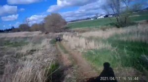 Yamaha Grizzly 350 vs Yamaha Bruin 350