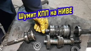 Показываю почему на НИВЕ  шумит коробка переключения передач (КПП)