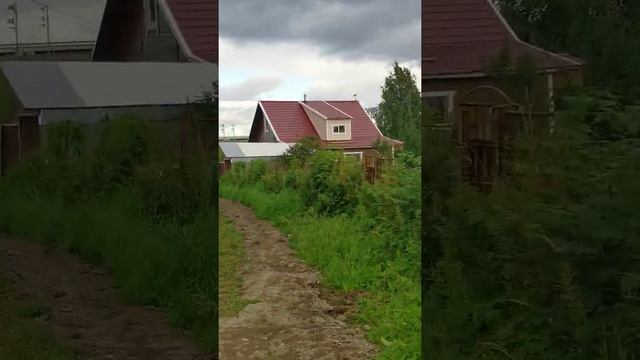 Сокол 14. 09.2020 г. смотреть онлайн