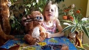 Мартышка и очки