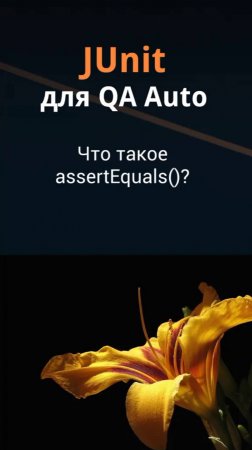 JUnit для QA Auto. Что такое assertEquals()?