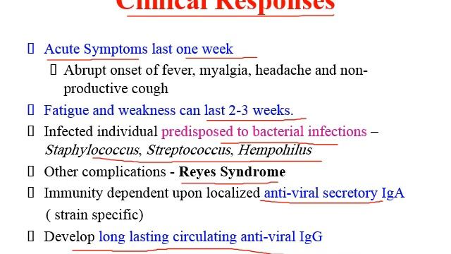 Chapter 10 - Orthomyoxivirus and paramyoxiviruses смотреть онлайн