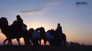 Бумер КАРАВАН avi