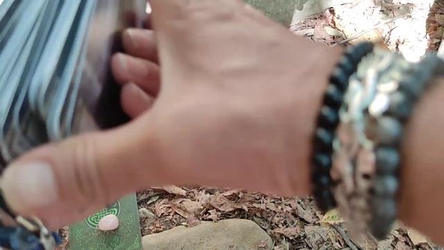 Расклад. Послание от Регины Рода. Варианты 3; 4. смотреть онлайн