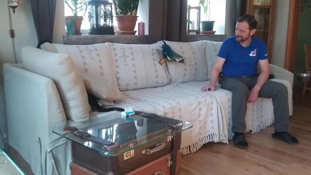 Битва Тигра с Драконом - 3 смотреть онлайн