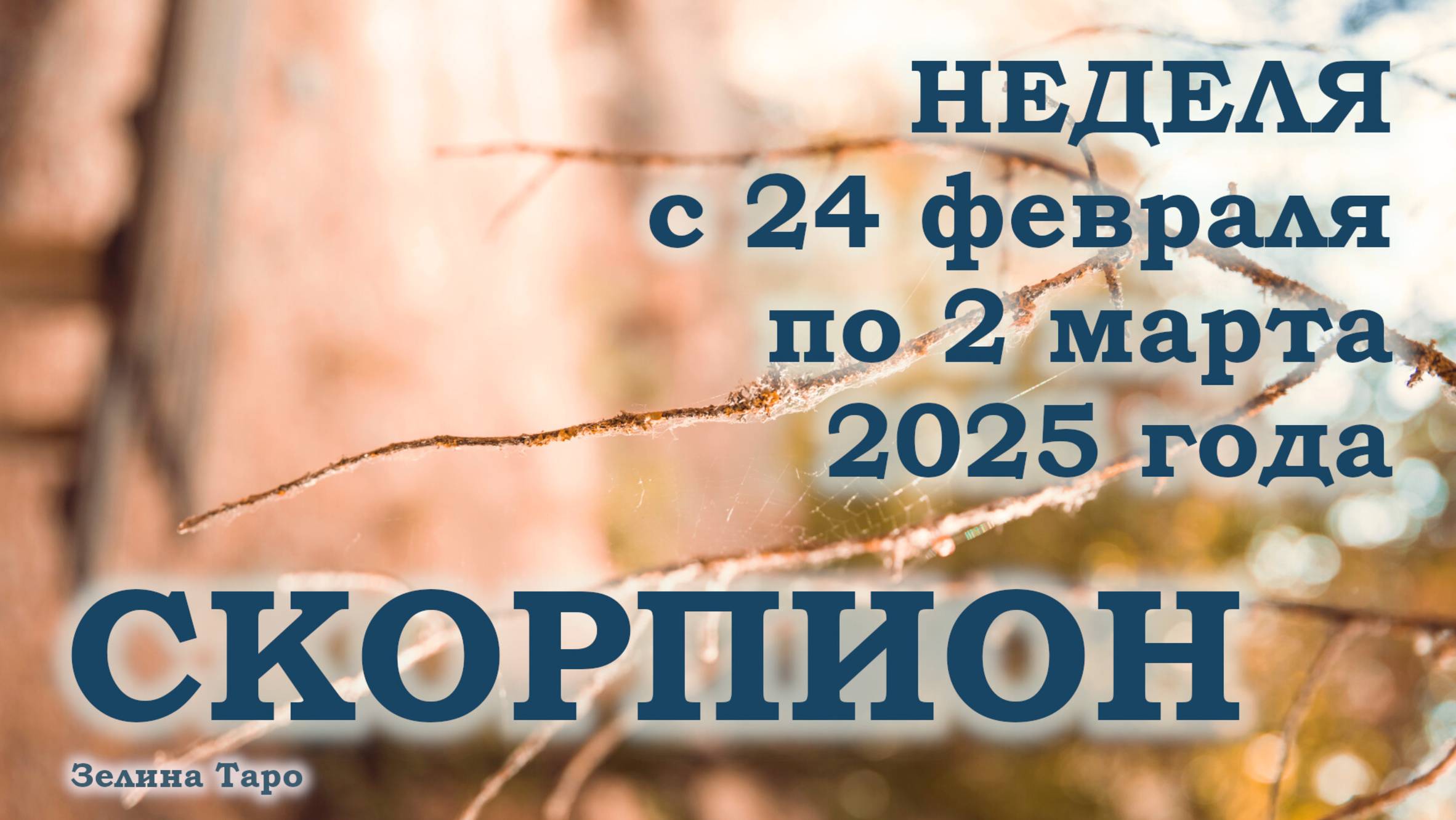СКОРПИОН | ТАРО прогноз на неделю с 24 февраля по 2 марта 2025 года
