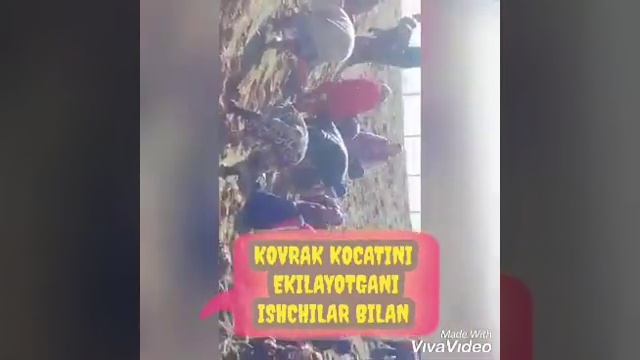 10000$ RASXOD VA 3 YILDA 100000$ DAROMAD смотреть онлайн