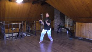 Урок 22 Шисань тай бао Юнчунь Байхэ Цюань// Lesson 22 Shisan Tam Bao Yunchun Baihe Quan