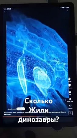 Сколько жили динозавры?