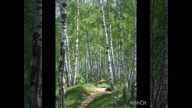 Мир, в котором ты живёшь смотреть онлайн