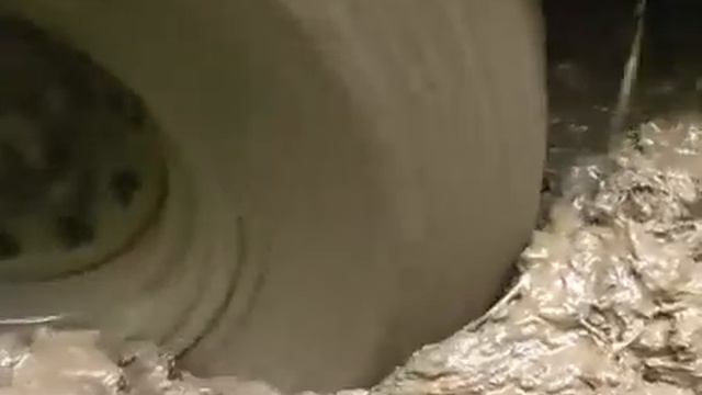 Трофи рейд «Сусанин Трофи» Кострома