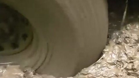 Трофи рейд «Сусанин Трофи» Кострома