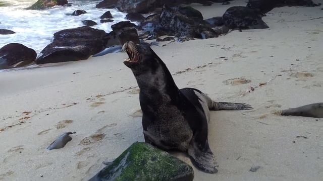 1. смотреть онлайн