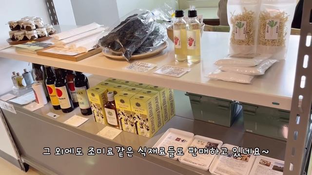 일본 도쿄 브이로그🗼편의점 신상 간식들, D&Department TOKYO, 지유가오카, 꽃과 함께하는 소소한 도쿄 일상