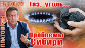 Николай Платошкин: Газовые проблемы Сибири: Почему цены на уголь растут?