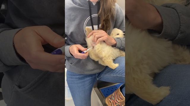 Taking Temperatures смотреть онлайн