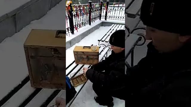 20 ноября 2018 г.Выпуск щеглов смотреть онлайн