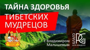 Тайна здоровья тибетских мудрецов с Владимиром Малышевым | Самарский здоровяк | 21.02.2025г.