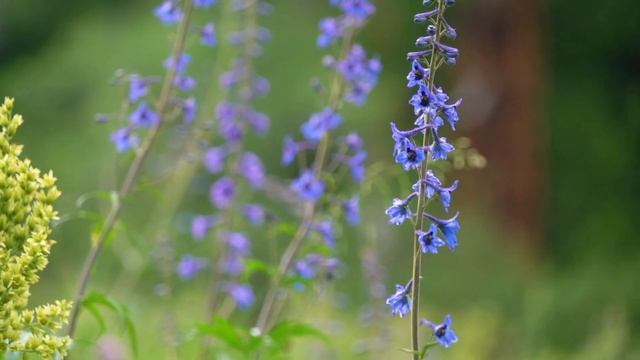 2023 Горный Алтай Мультинские озёра 2 часть смотреть онлайн