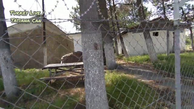 VLOG_История про солдата_Бывшая Тюрьма_Сглаз😁_Муж верит🧿_Кузен с женой_Домашнее видео с мужем_Турц смотреть онлайн