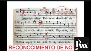 CANTO GREGORIANO Trim