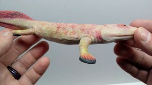 Paleozoo Acanthostega Review!!! BEAUTIFUL!!!