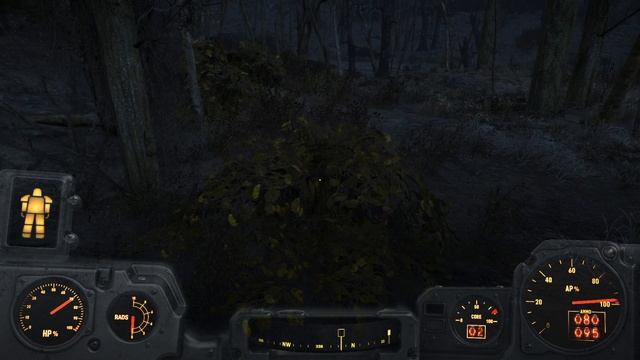 Fallout Survival level 42