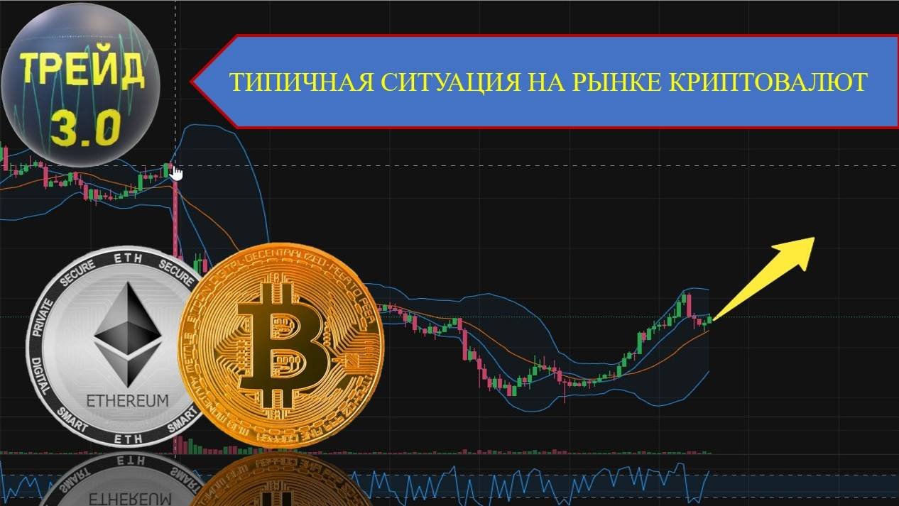 Типичная ситуация на рынке криптовалют - считаем профит за 6 месяцев!
