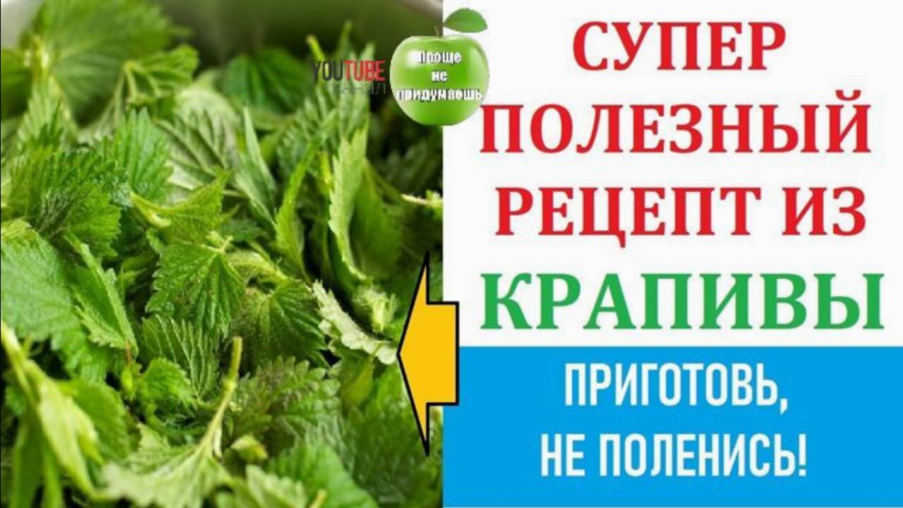 Полезный рецепт из свежей крапивы