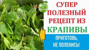 Полезный рецепт из свежей крапивы