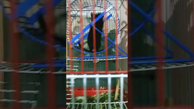 28 июля 2024 г. смотреть онлайн