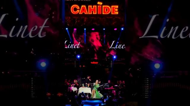 Linet - Arka Mahalle - alacatı cahide  Linetmenaşi arkamahalle cahide alaçatı linet