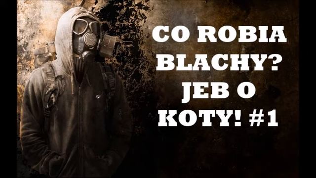 CO ROBIĄ BLACHY? JEB O KOTY! #1 смотреть онлайн