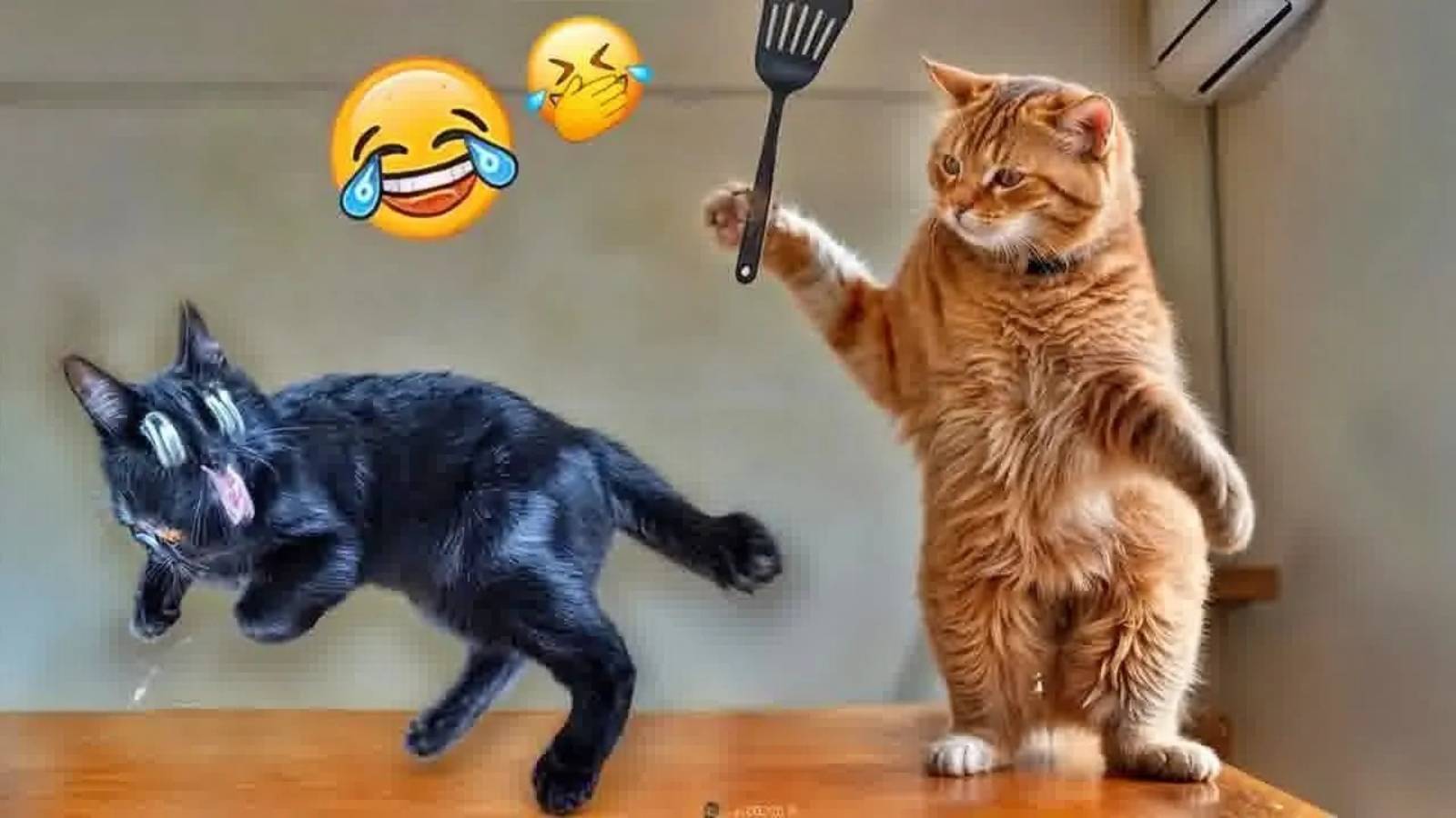 Ты НЕ выдержишь! 😜 Самые забавные животные, которые рассмешат даже камень!