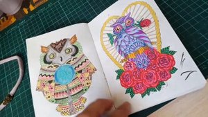 Завершенная раскраска "Совушки"