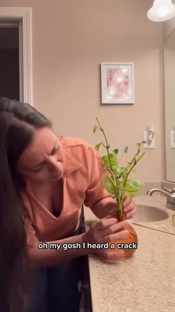 What happens when your prop container is way too small? #plantcare #plantpropagation #plantlovers смотреть онлайн