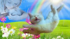 Олег Чуприн - Я-пушистый беленький котёнок (кавер)(22.02.25)