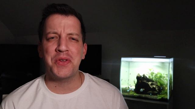 Fluval Flex 15 Gallon Planted Aquarium is COMPLETED!