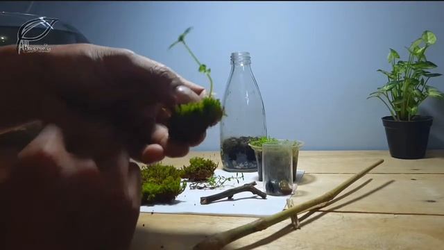 TERRARIUM mini dari botol bekas == TERRARIUM mini from used bottles смотреть онлайн