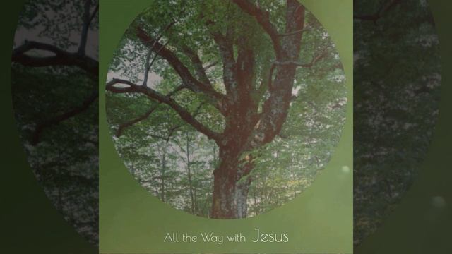 City Lights смотреть онлайн