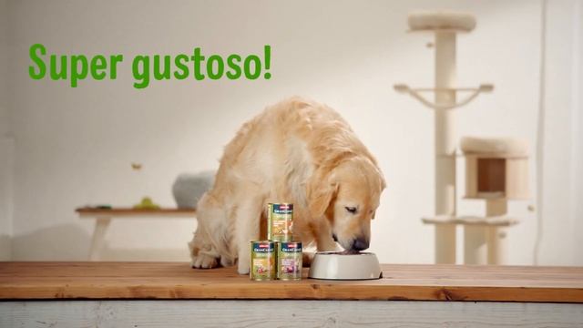 Paw-approved | Max assaggia Animonda GranCarno Super Food - vediamo cosa ne pensa! смотреть онлайн