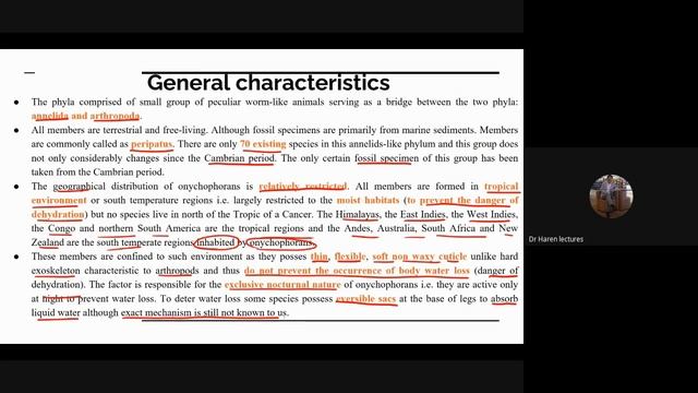 Onychophorans смотреть онлайн