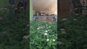 Обзор отеля InsuLa ч2 Турция