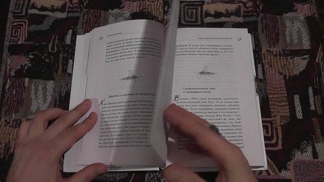 "Планета насекомых" (Анне Свердруп-Тайгесон,2020)