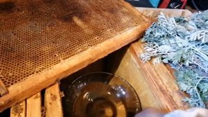 Как хранить рамки с мёдом и сушью, моль ест рамки портит сот