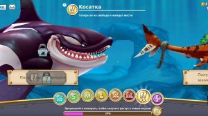Виды акул в Hungry Shark
